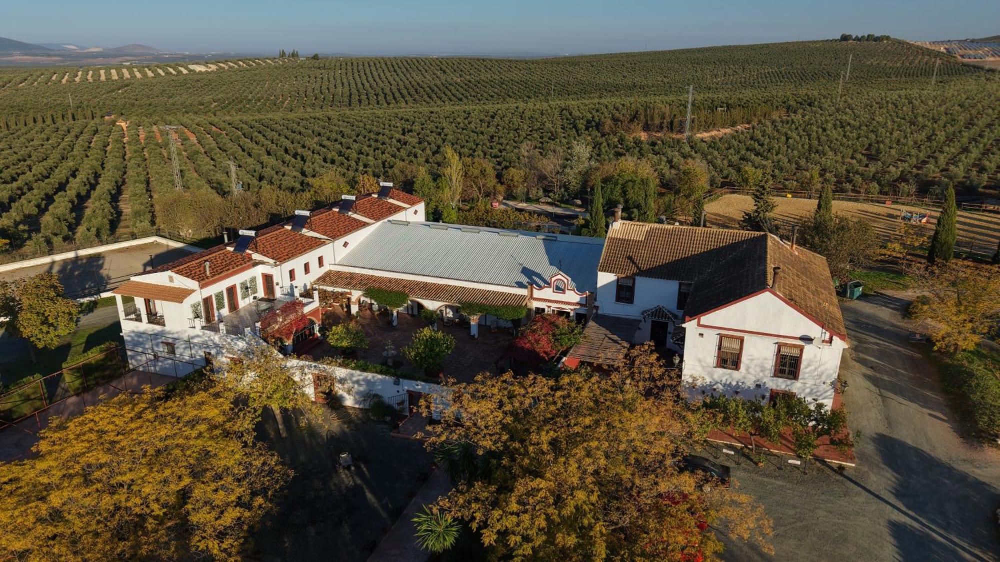 Bed and Breakfast Cortijo Carrillo Cartaojal Exterior foto