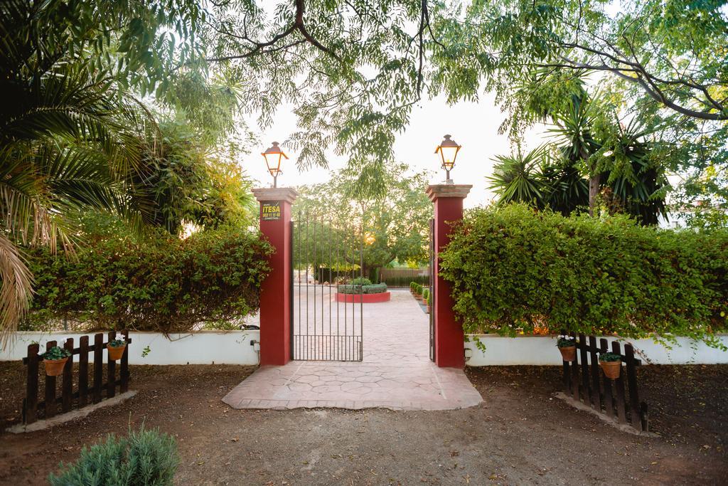 Bed and Breakfast Cortijo Carrillo Cartaojal Exterior foto